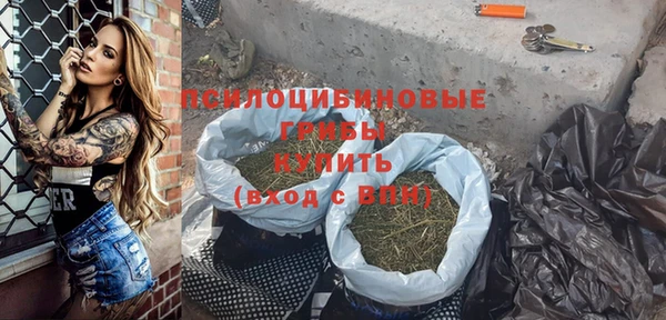 первитин Богородск