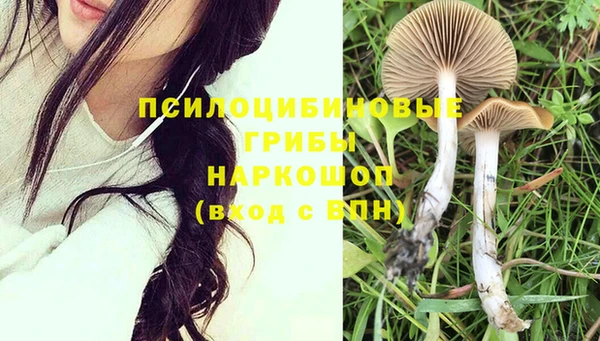 скорость Богородицк