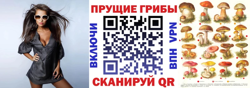 MEGA вход  Дальнегорск  Галлюциногенные грибы Psilocybe 